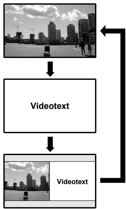 PIONEER PDP-506 PE & PDP-506FDE - Was ist Videotext? - 2
