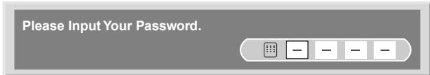 PIONEER PDP-506 PE & PDP-506FDE - Entering a password - 1