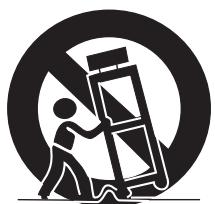 PIONEER PDP-506 PE & PDP-506FDE - After-image (lag image) due to burning - 2