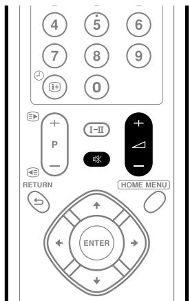 PIONEER PDP-506 PE & PDP-506FDE - Kanalwechsel - 2