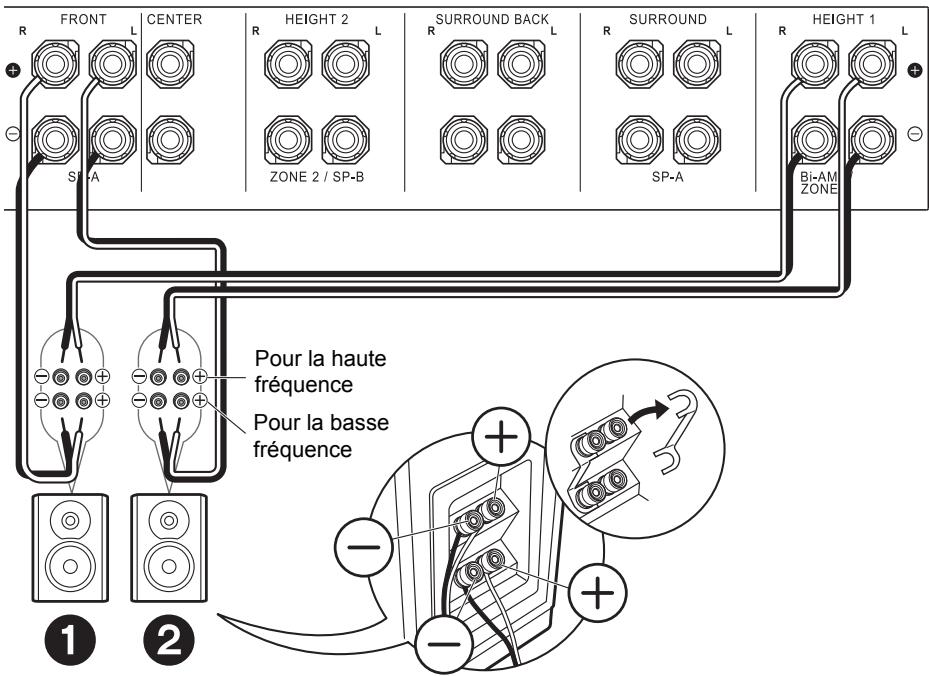 PIONEER SC-LX801 - Raccordement des enceintes en bi-amplification - 1