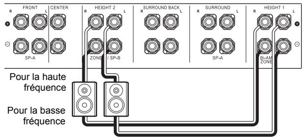 PIONEER SC-LX801 - Raccordement des enceintes en bi-amplification - 4