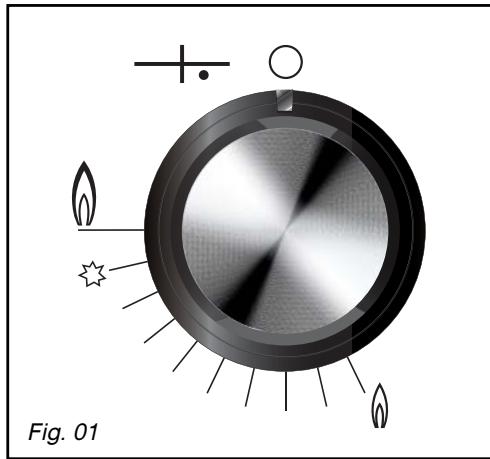 DE DIETRICH DTI1102X, DTG1102X, DTI1102V - - LIGHTING THE GAS BURNERS - 1