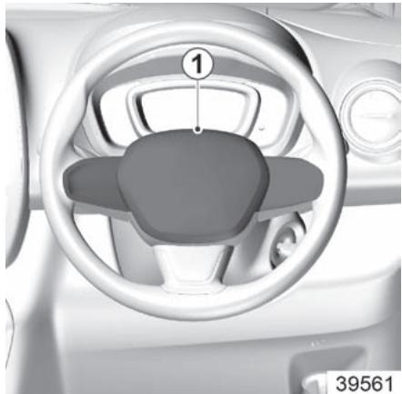 RENAULT KWID - AUDIBLE AND VISUAL SIGNALS - 1
