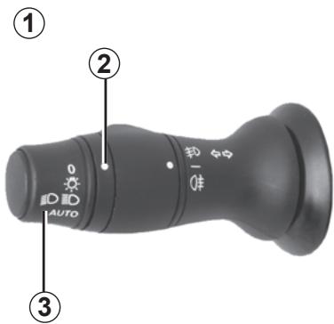 RENAULT SCENIC 3 2010 - Feux de position - 1