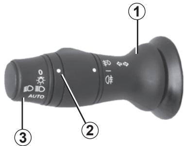RENAULT SCENIC 3 2012 - Feux de position - 1