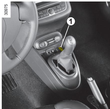 RENAULT WIND 2010 - Utilisation de la clé - 1