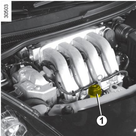 RENAULT WIND 2010 - NIVEAUX (1/3) - 1