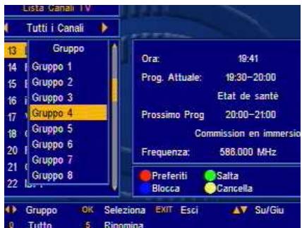 SAGEM DT60/65 - Selezionare i canali preferiti - 1