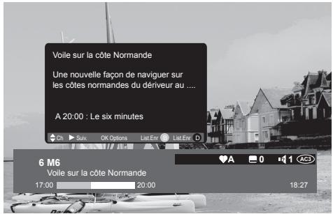 SAGEM IHD 91 - Informations détaillées sur les programmes - 1