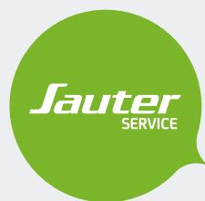 SAUTER GUELMA - AVANT INSTALLATION - 1