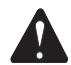 RYOBI RBC430SES - WARNING - 1