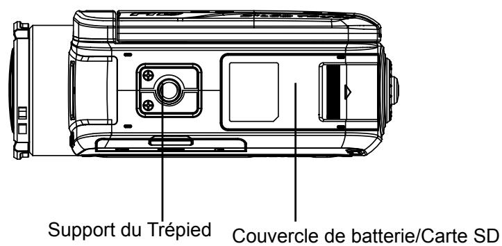 TOSHIBA CAMILEO H30 - Vue de dos - 4