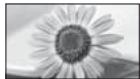 PANASONIC TX-L24C3E - Automatique - 1