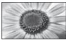 PANASONIC TX-L24E3E - [Zoom2] - 1