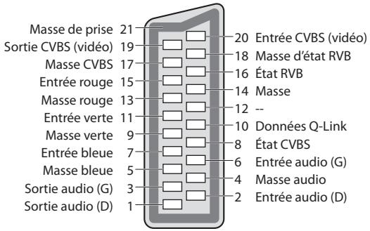 PANASONIC TX-L24E3E - Borne AV1 SCART (RGB,VIDEO,Q-Link) - 1