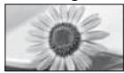PANASONIC TX-L24E3E - [Elargi] - 1