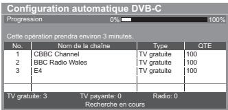 PANASONIC TX-L32E5E - Lancez la configuration automatique (les règles s'effectuent automatiquement) - 3
