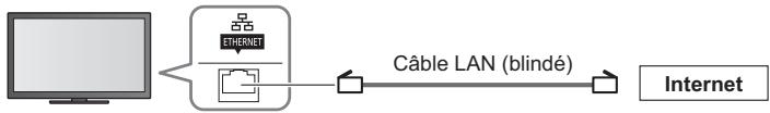PANASONIC TX-L32E5E - Connexions réseau - 3