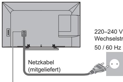 PANASONIC TX-48AS640E - Grundlegende Anschlüsse - 1