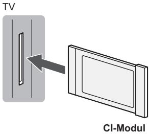 PANASONIC TX-48AS640E - Common Interface - 1