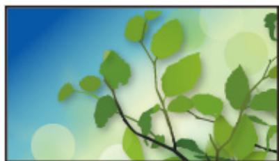 PANASONIC TX-58AX800E - Informations - 5