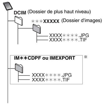 DCIM (Dossier de plus haut niveau) ***XXXX (Dossier d'images) XXXX****.JPG XXXX****.TIF IM**CDPF ou IMEXPORT XXXX****.JPG XXXX****.TIF