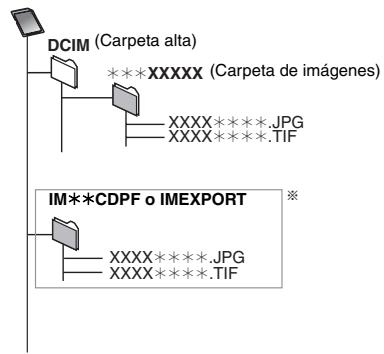 DCIM (Carpeta alta) * * * XXXXX (Carpeta de imágenes) XXXX****.JPG XXXX****.TIF IM**CDPF o IMEXPORT * XXXX****.JPG XXXX****.TIF