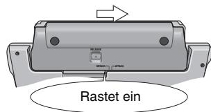 Rastet ein
