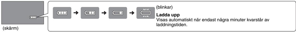 PANASONIC DVD-LS86 - Kontrollera Återstående batteriladdning - 1