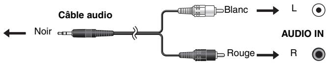 PANASONIC DVD-LX8EG - Lecture audio stereo - 2