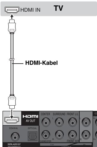 PANASONIC DVD-S100 - Mit einem HDMI-kompatiblen Fernsehgerät - 1