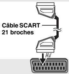 Cable SCART 21 broches AV