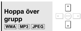 Hoppa över grupp WMA MP3 JPEG