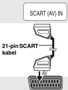 SCART (AV) IN 21-pin SCART kabel AV