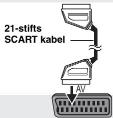 21-stifts SCART kabel AV