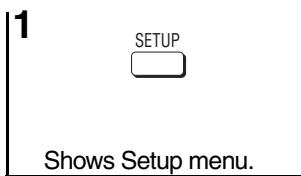 PANASONIC DVD-S422 - Picture Menu - 1