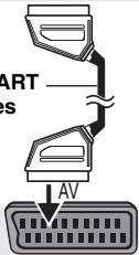 PANASONIC DVD-S49 - Équipé d'une borne SCART (AV) IN - 1
