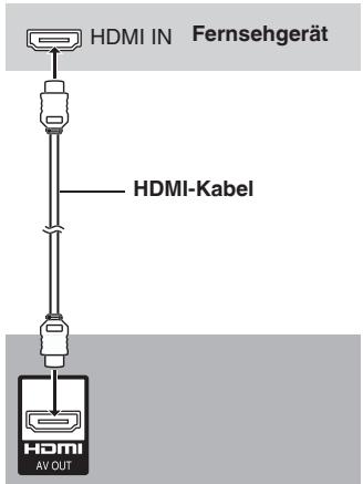 PANASONIC DVD-S54 - Mit HDMI-kompatiblem Fernsehgerät - 1