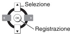 Selezione OK Registrazione