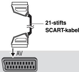 21-stifts SCART-kabel AV