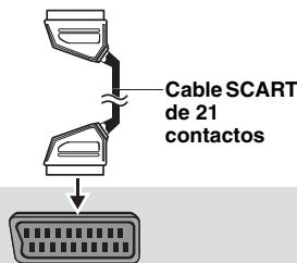 Cable SCART de 21 contactos