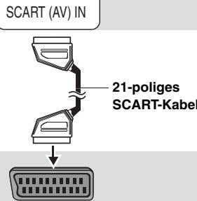 SCART (AV) IN 21-poliges SCART-Kabel