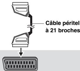 Câble péritel à 21 broches