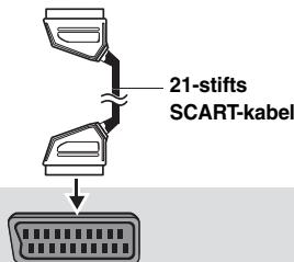 21-stifts SCART-kabel
