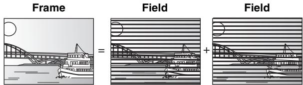 Frame Field Field