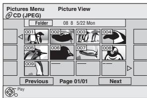 Pictures Menu Picture View CD (JPEG) Felder 08 8 5/22 Mon 001 O02 O03 O04 005 O06 O07 O08 009 Previous Page 01/01 Next Play