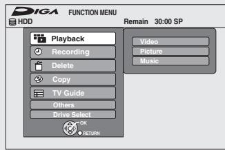 DIGA FUNCTION MENU HDD Remain 30:00 SP Playback Recording Delete Copy TV Guide Others Drive Select -OK RETURN Video Picture Music