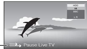 HDD H BBC LR Pause Live TV