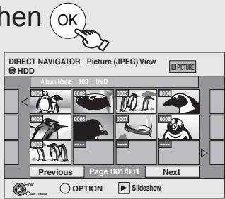 OK DIRECT NAVIGATOR Picture (JPEG) View HDD Album Name 103_DVD Previous Page 001/001 Next OK CRETURN OPTION Slideshow